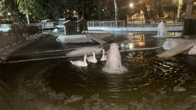 Kuğulu Park'taki havuz buz tuttu