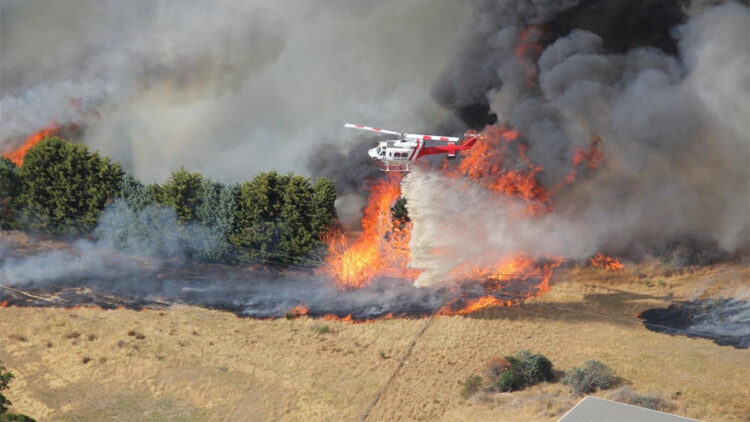Avustralya'da orman yangınları devam ediyor
