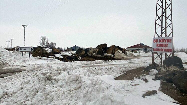 Adilcevaz'da kuduz vakası tespit edilen köy, karantinaya alındı
