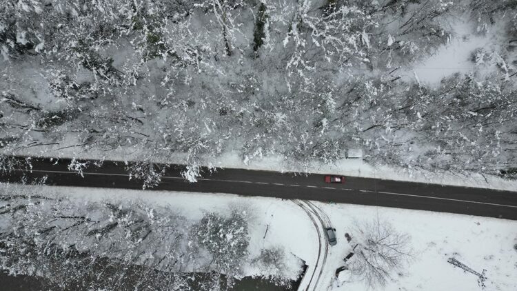'Ağaç tünel yol'da, kar yağışı sonrası ortaya çıkan manzara görüntülendi