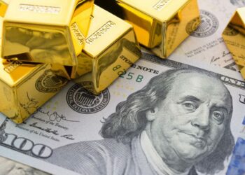 Aralık ayında en yüksek reel getiri DİBS'te oldu
