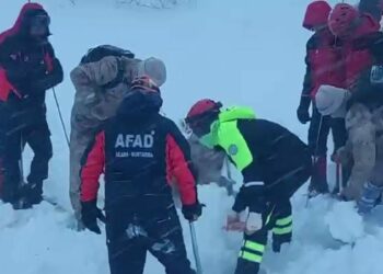 Artvin'de çığ altında kalan çoban aranıyor