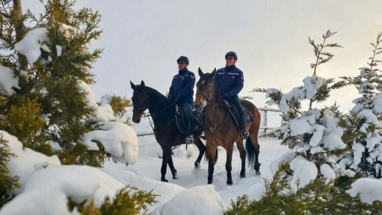 Atlı jandarma birlikleri, kaçak avcılara karşı devriye faaliyeti gerçekleştirdi
