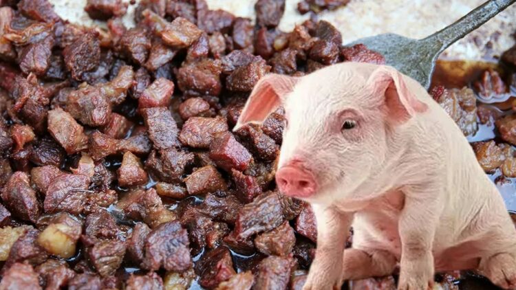 Aydın'da cami çıkışında domuz etiyle kavurma mı dağıtıldı? Valilikten açıklama geldi