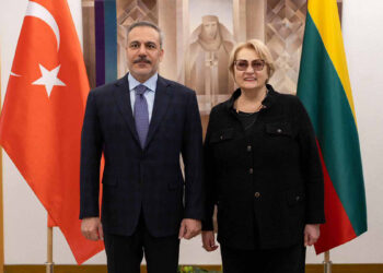 Hakan Fidan, Litvanya Meclis Başkan Yardımcısı ile görüştü