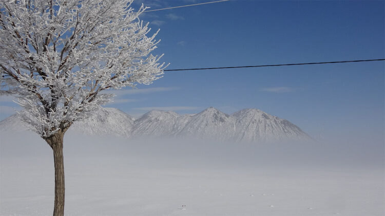 Bitlis'te yoğun sis