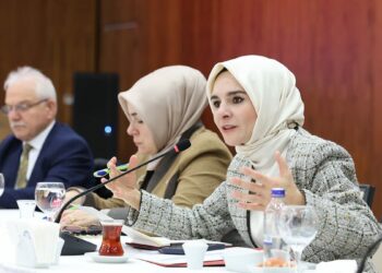 Bakan Göktaş, milletvekillerine sanal medya düzenlemesini anlattı