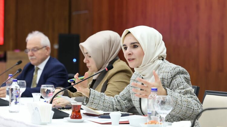 Bakan Göktaş, milletvekillerine sanal medya düzenlemesini anlattı