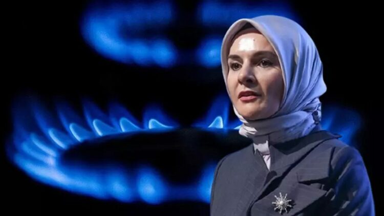 Bakan Göktaş'tan, 'Düzenli Doğal Gaz Tüketim Desteği' açıklaması