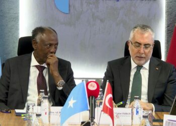 Bakan Işıkhan, Somali Çalışma Bakanı Ibro ile bir araya geldi