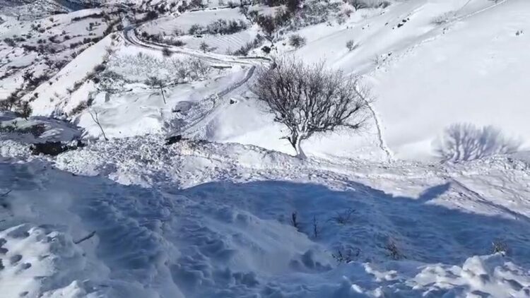 Batman'da ahıra çığ düştü: 44 küçükbaş öldü