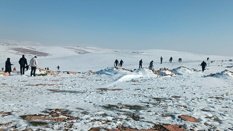 Batman'da yaban hayvanları için doğaya 1 ton yem bırakıldı
