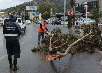 Bodrum'da fırtına; ağaçlar devrildi, tekneler su aldı