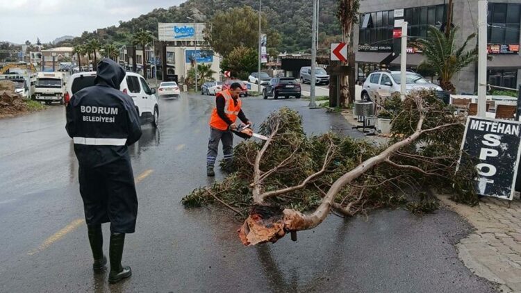 Bodrum'da fırtına; ağaçlar devrildi, tekneler su aldı