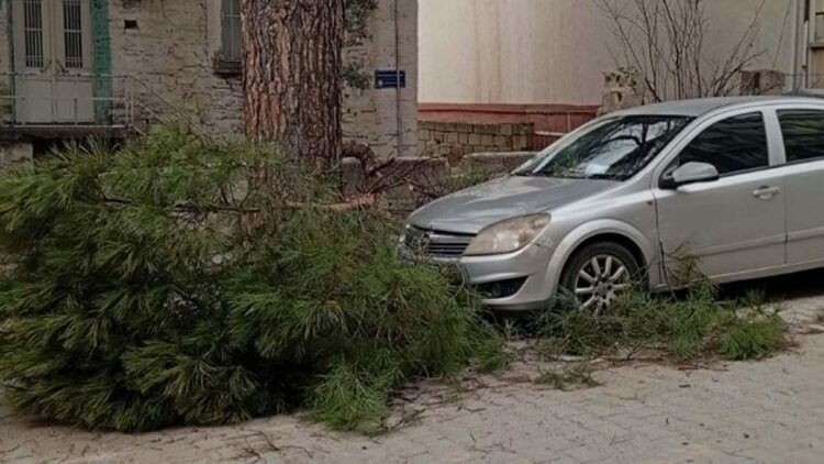 Buldan'da kuvvetli fırtına, baca kapağını uçurdu, ağacı devirdi