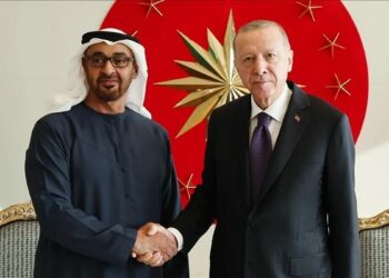 Cumhurbaşkanı Erdoğan, BAE Devlet Başkanı ile görüştü