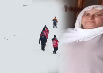 Diyarbakır'da kaybolan kadını 410 kişilik ekip arıyor