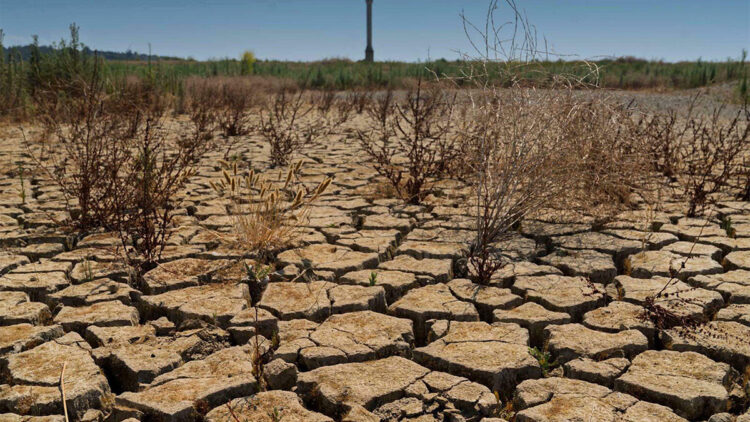 Suyu doğru yönetemezsek kullanabilecek suyumuz kalmayacak