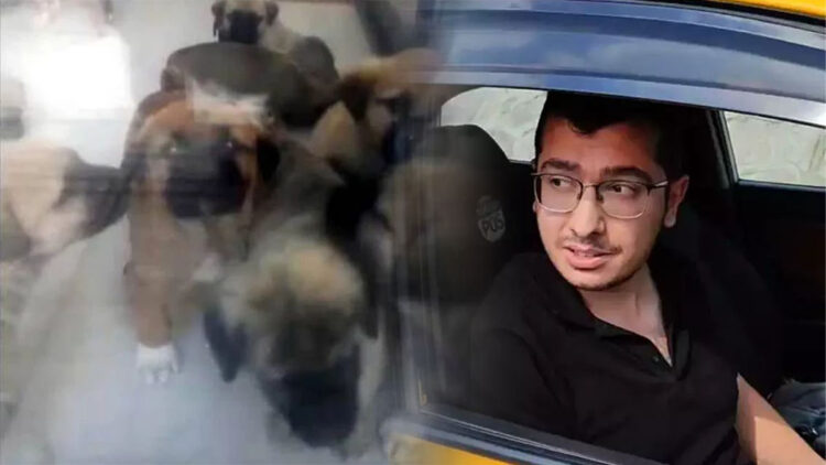 Sahiplendiği köpeklere cinsel istismarda bulunup öldüren doktorun duruşması kapalı yapılacak