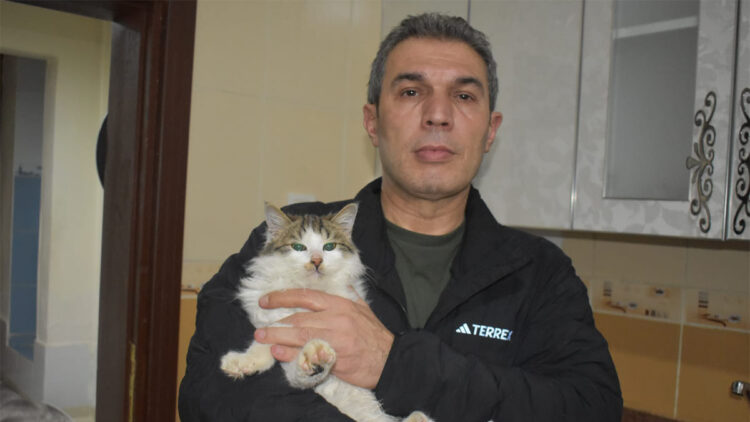 Sokak kedileri için dairesini kedi yuvasına dönüştürdü