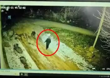 Diyarbakır'da kaybolan kadını arama çalışmaları 3’üncü gününde
