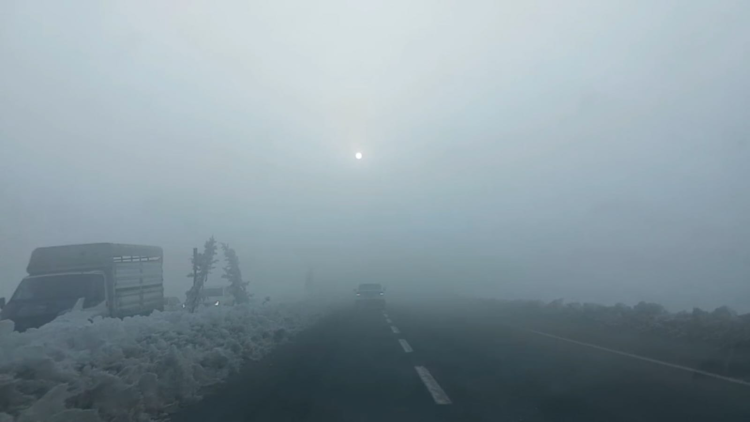 Diyarbakır'da yoğun sis nedeniyle uçak seferleri aksadı