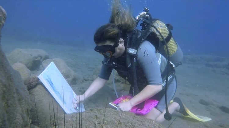 Emekli hemşire, 8 yıldır su altında resim yapıyor