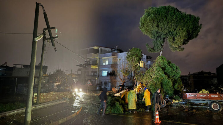 Fırtına nedeniyle devrilen ağaç elektrik tellerini kopardı