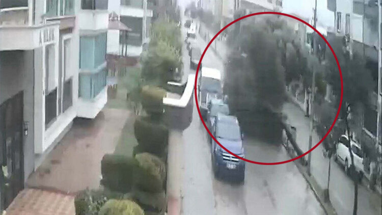 Kuvvetli fırtınada ağaç kökünden sökülerek devrildi