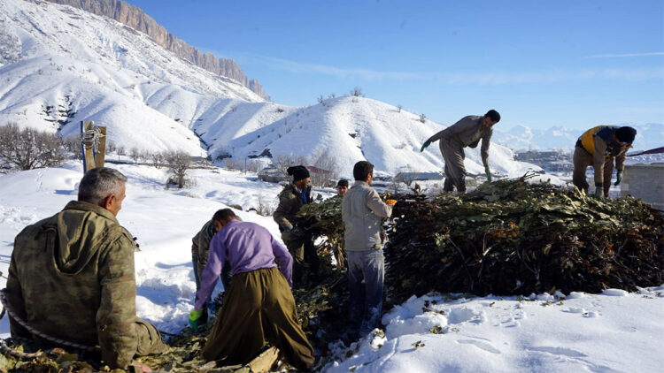 Besiciler kış mevsiminde büyük sıkıntı yaşıyor