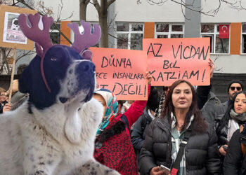 Matmazel'i öldürenler hak ettikleri cezayı almalı