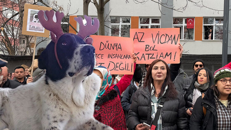 Matmazel'i öldürenler hak ettikleri cezayı almalı