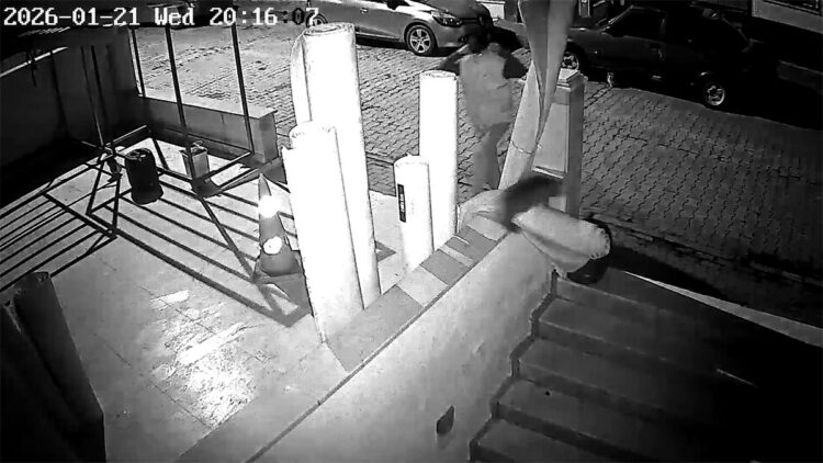 Avcılar'da halı hırsızlığı kamerada