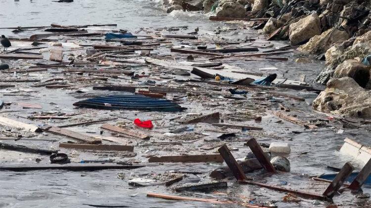 Avcılar'da lodosla kıyıya taşınan yosun ve çöpler temizlendi