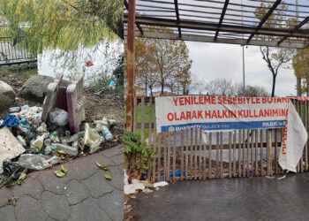 Bakırköy Botanik Parkı'nda hayvan ölümleri iddiası
