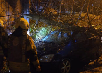 Beykoz'da fırtınada devrilen ağaç 2 otomobilin üzerine düştü