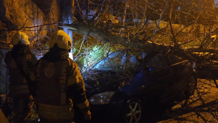 Beykoz'da fırtınada devrilen ağaç 2 otomobilin üzerine düştü