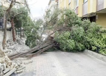 İstanbul'da kuvvetli rüzgar: Çatı uçtu, ağaçlar devrildi