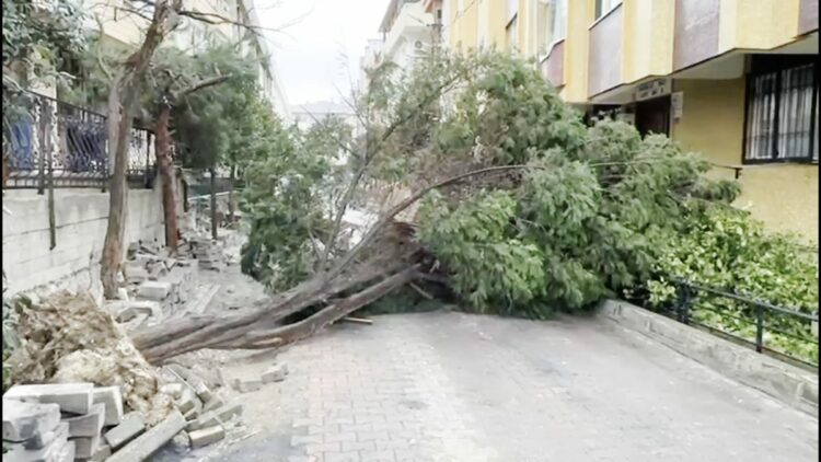 İstanbul'da kuvvetli rüzgar: Çatı uçtu, ağaçlar devrildi