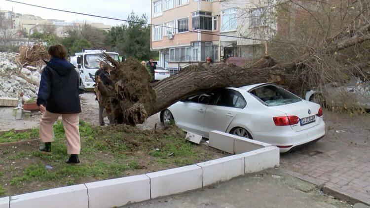 İstanbul'da lodos; ağaç 4 aracın üzerine devrildi