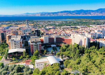 İzmir Ekonomi Üniversitesi'nde kişisel verilerin çalınmasına ilişkin 3 gözaltı