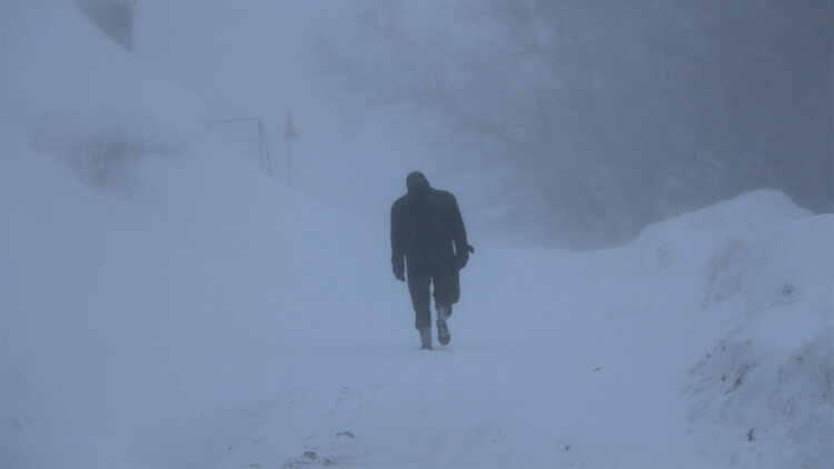 Bingöl'de tipi nedeniyle hayat durma noktasına geldi