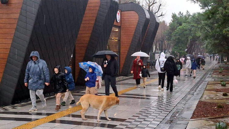 Kırklareli'de yağmur etkili oldu