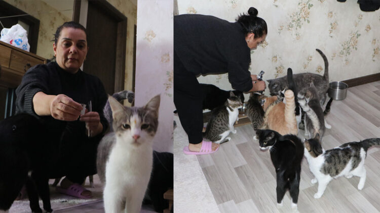 Kedi korkusunu yendi, evini sokak kedilerine yuvaya dönüştürdü