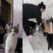 Kedi korkusunu yendi, evini sokak kedilerine yuvaya dönüştürdü
