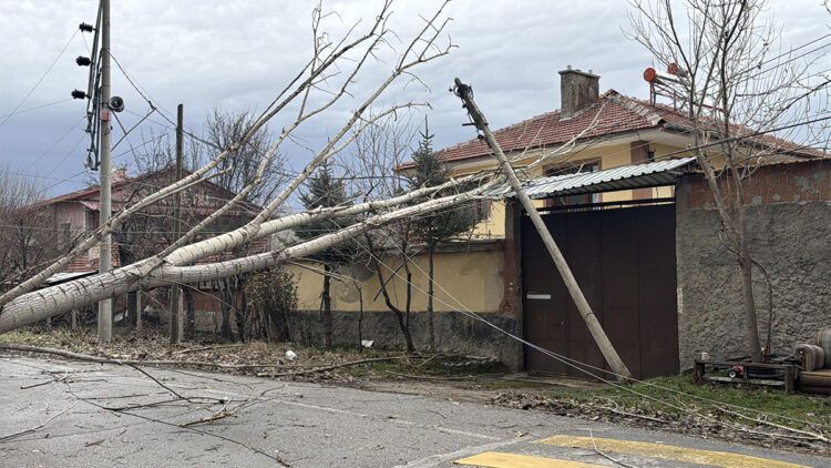 İstanbul Valiliği: Fırtınada 23 çatı uçtu, 28 ağaç devrildi