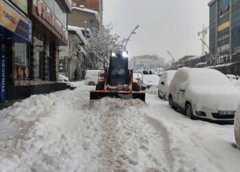Kar kalınlığı 60 santimetre olan Muş'ta 350 köy yolu kapandı