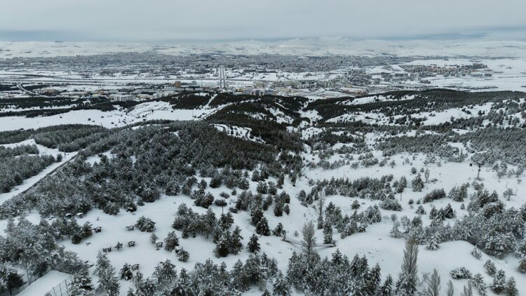 Kardeşler Ormanı'ndan 'karlı' Sivas manzarası