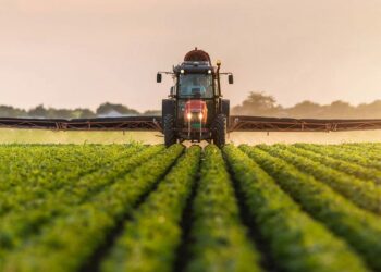 Kasımda tarımsal girdi fiyatları arttı