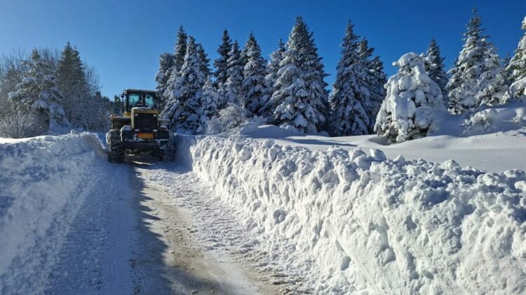Kastamonu'da 328 köy yolu kardan kapandı